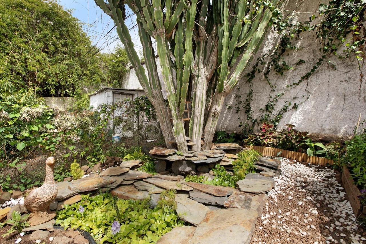 Apartamento Jardin Del Sol Tacoronte Exteriér fotografie